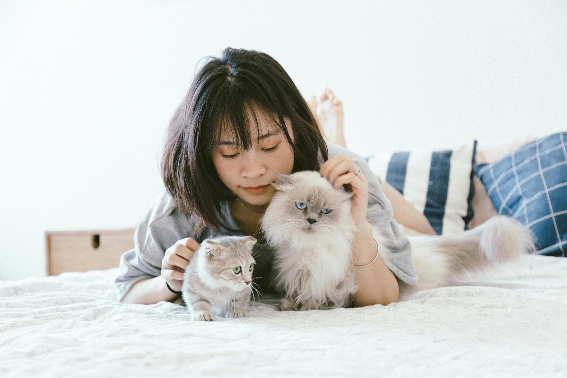 Dog & Cat Vets in Exeter